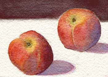 "Summer Fruit" by Claire Mangasarian, Madison WI - Watercolor